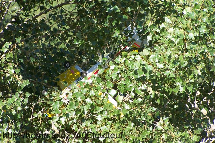 2004-09-25_michel_arbre_02