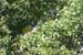 2004-09-25_michel_arbre_02