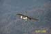 2005-01-15_Storch_Louis_011